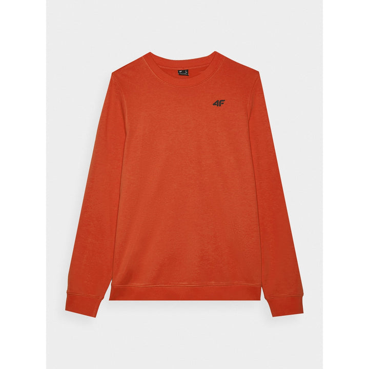 4F kampsun Sportwear Pullover