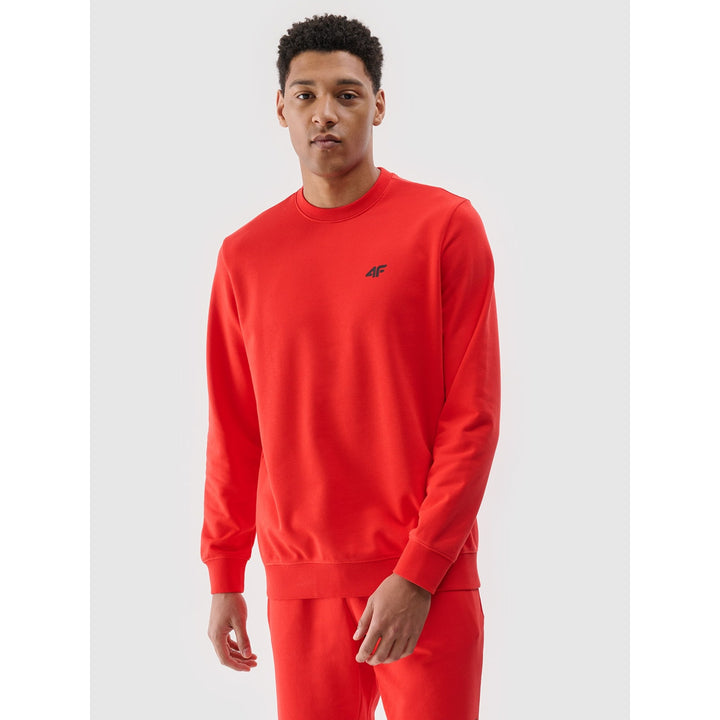 4F kampsun Sportwear Pullover