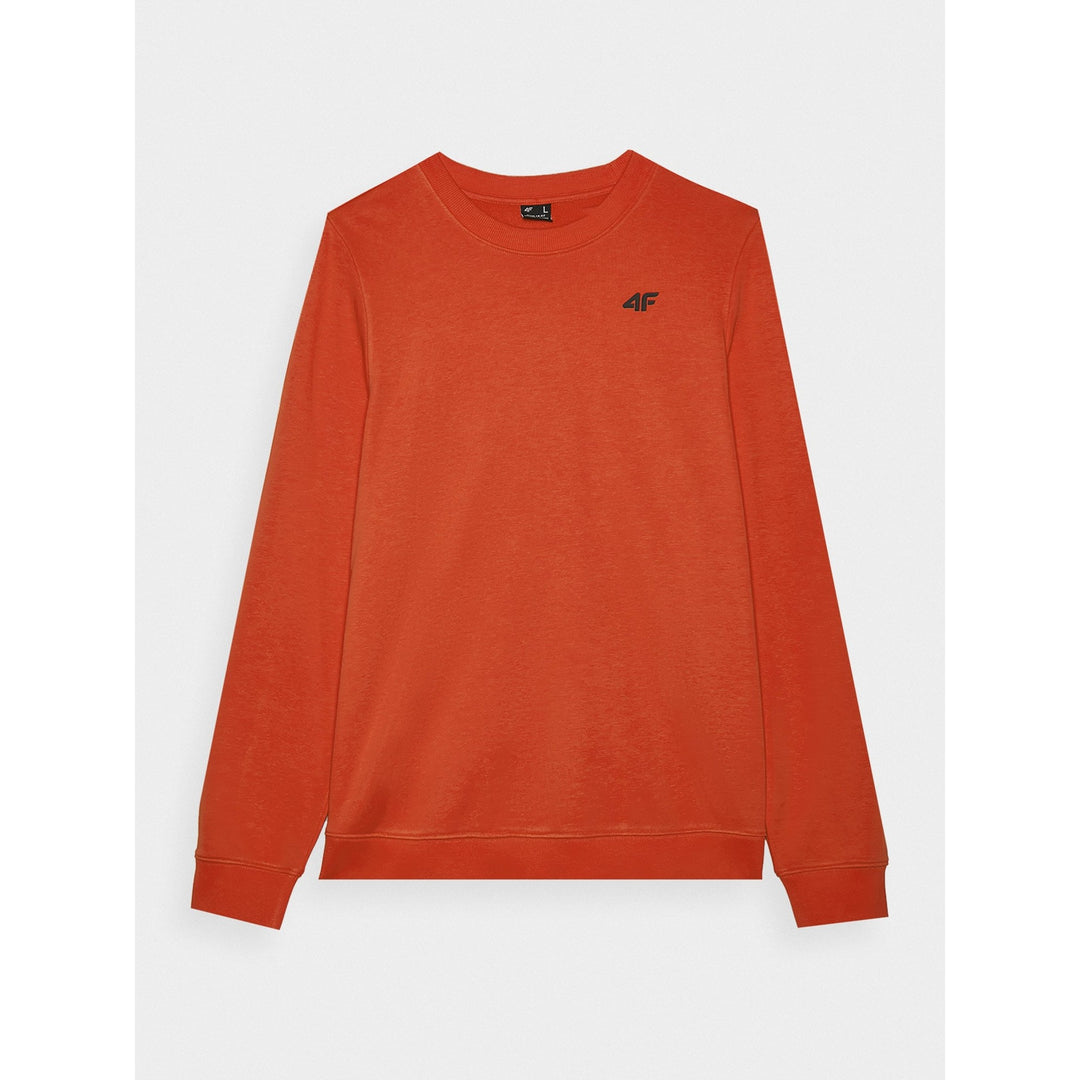 4F kampsun Sportwear Pullover