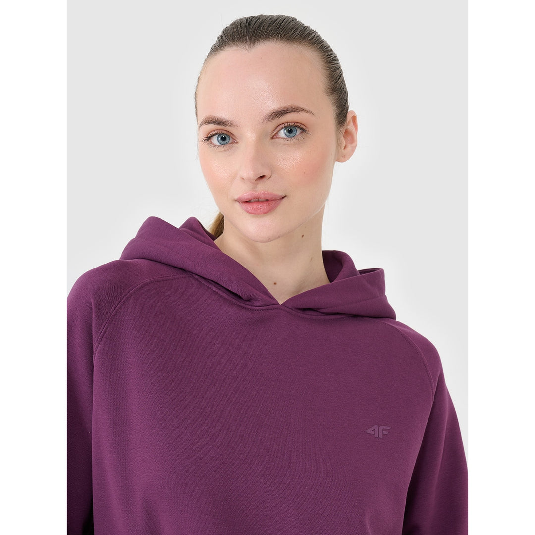 4F pusa Classic Pullover Hoodie