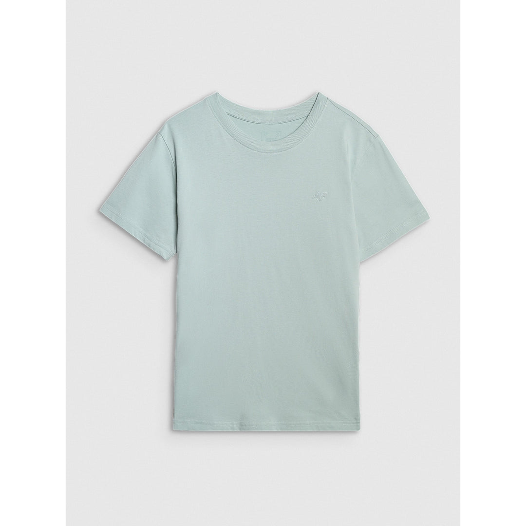 4F T-särk Regular Tee