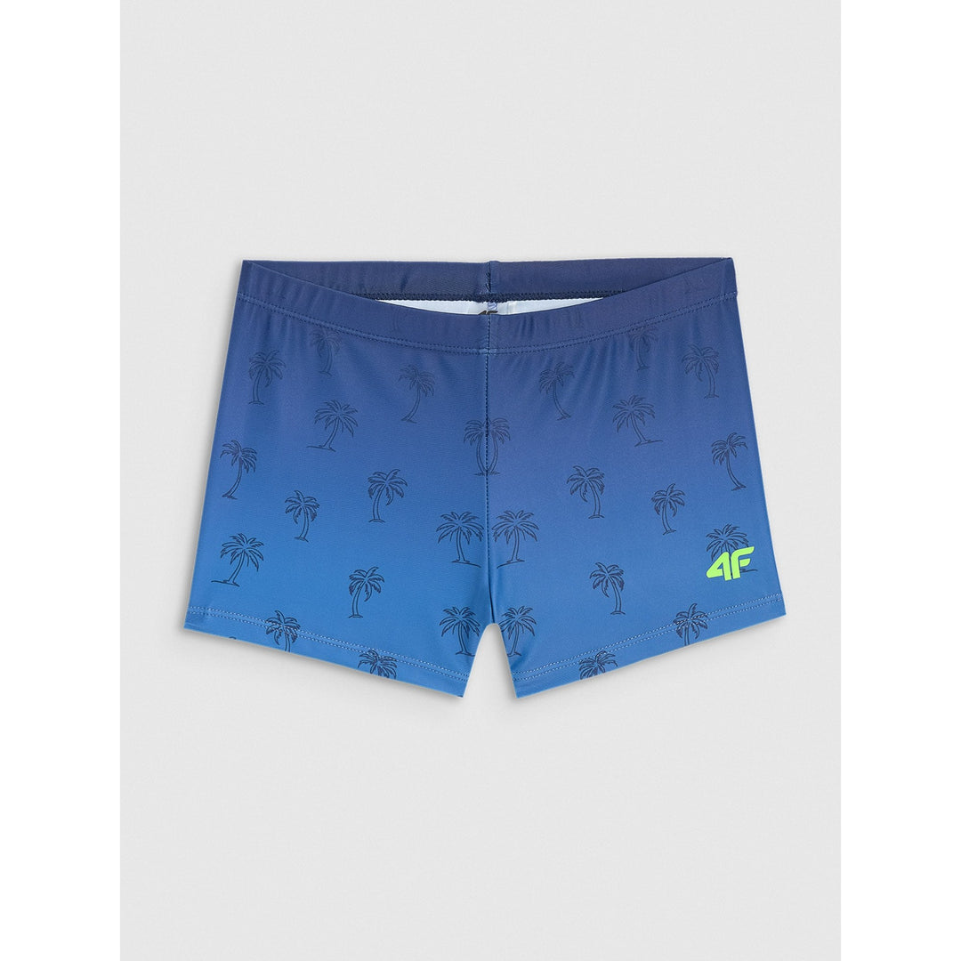 4F ujumispüksid Swim Shorts M072