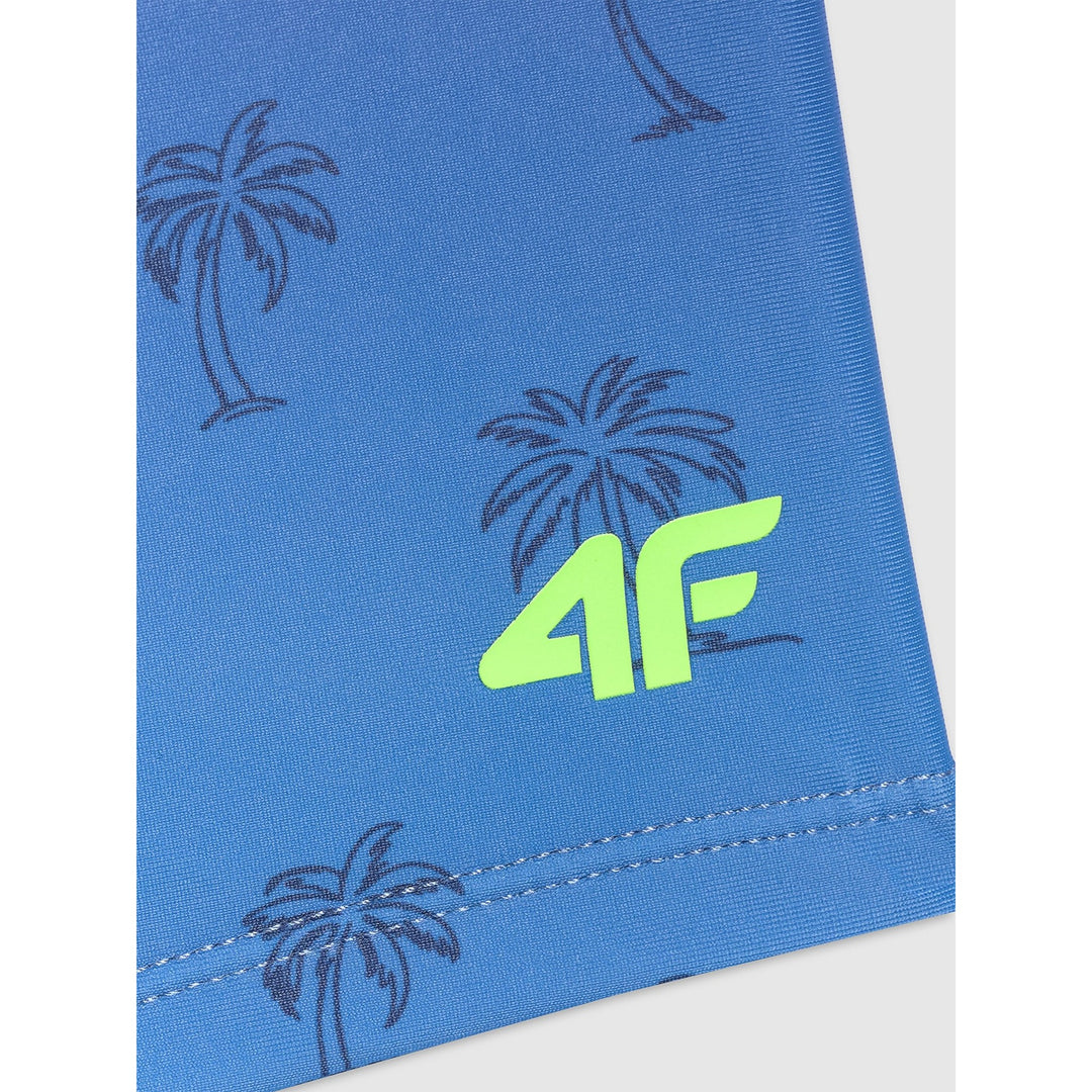 4F ujumispüksid Swim Shorts M072