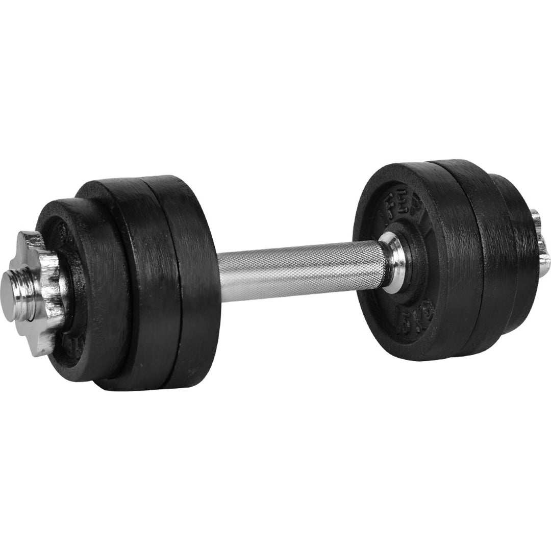 Lifefit kuue kettaga hantel 10 kg