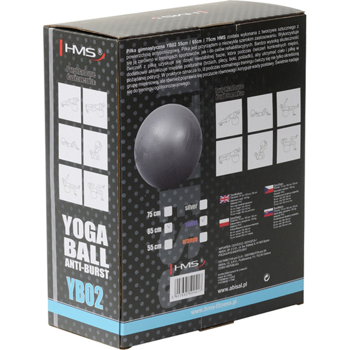 HMS võimlemispall koos pumbaga