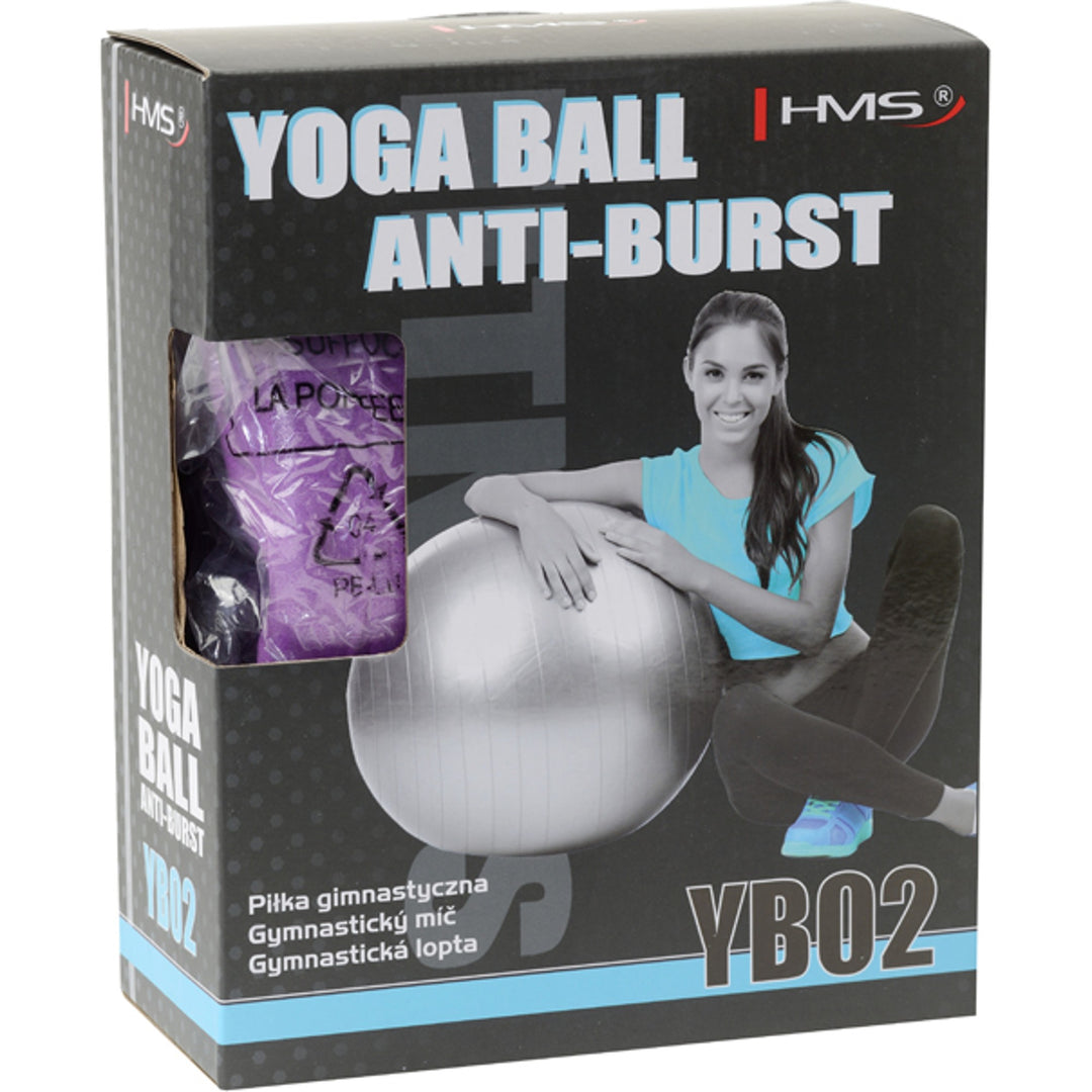 HMS võimlemispall koos pumbaga