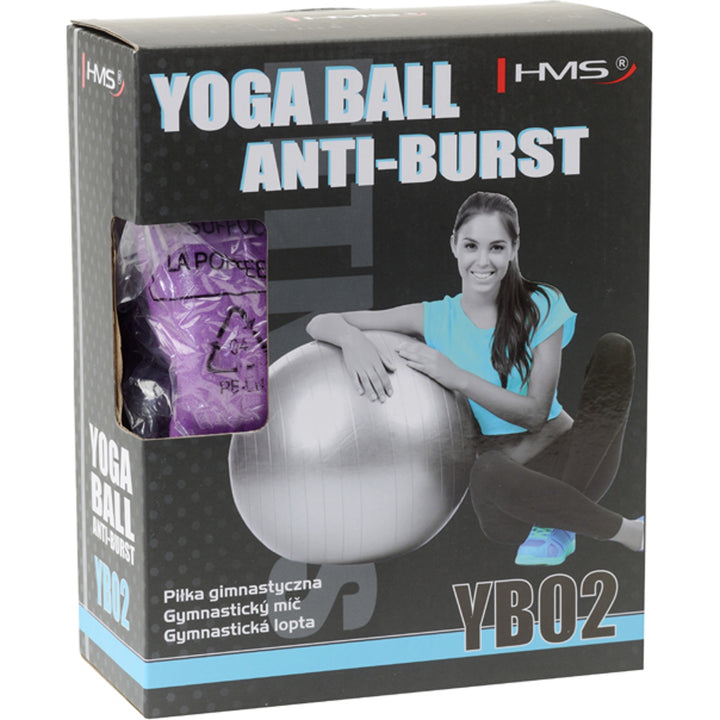 HMS võimlemispall koos pumbaga