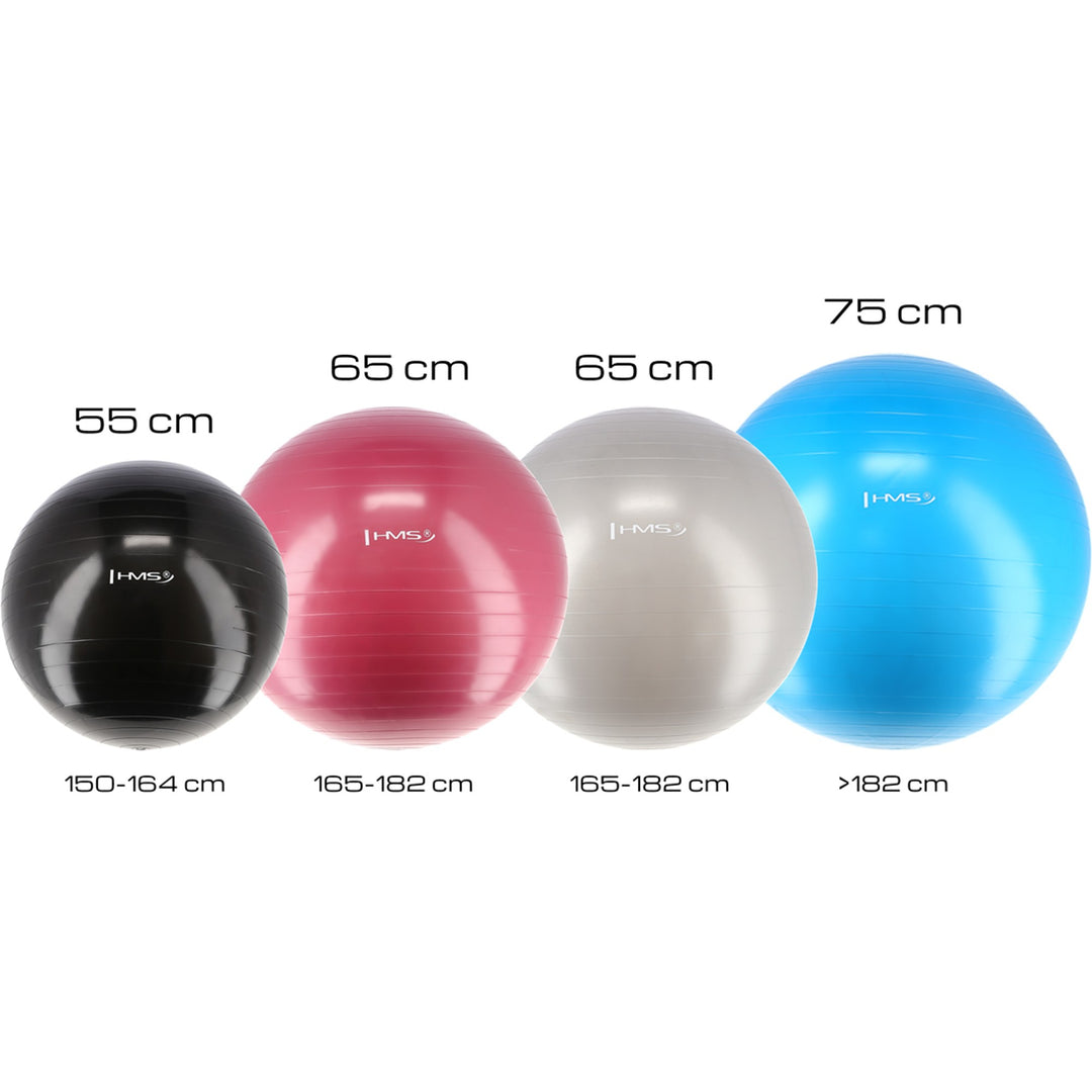 HMS võimlemispall koos pumbaga