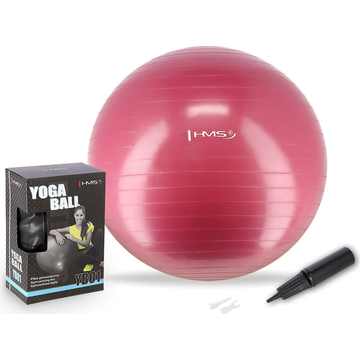 HMS võimlemispall koos pumbaga