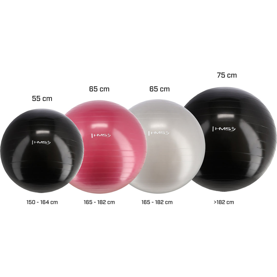 HMS võimlemispall koos pumbaga