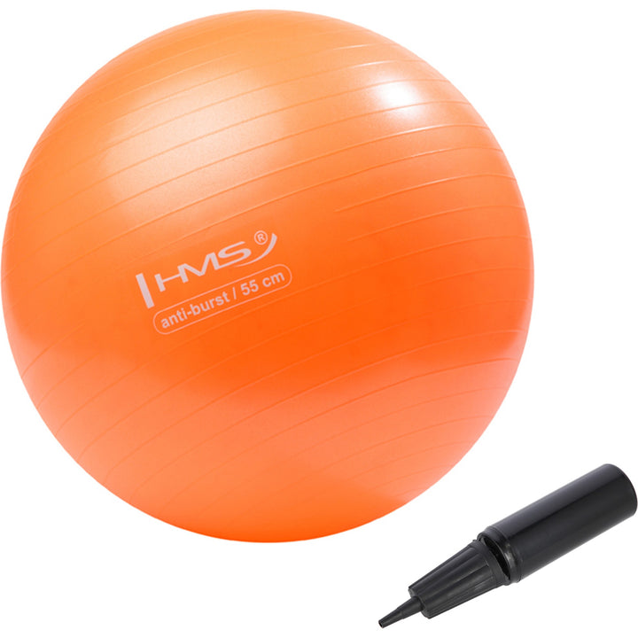 HMS võimlemispall koos pumbaga