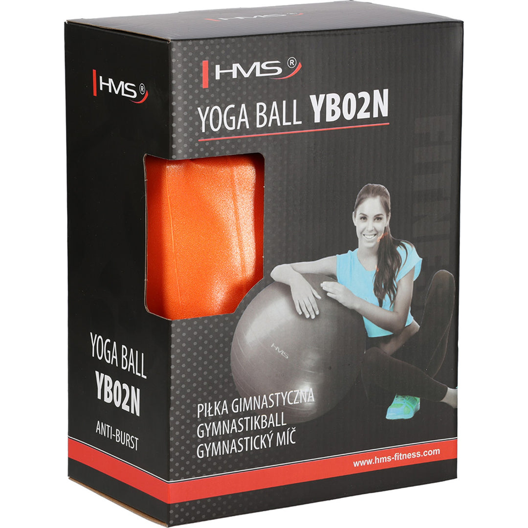 HMS võimlemispall koos pumbaga