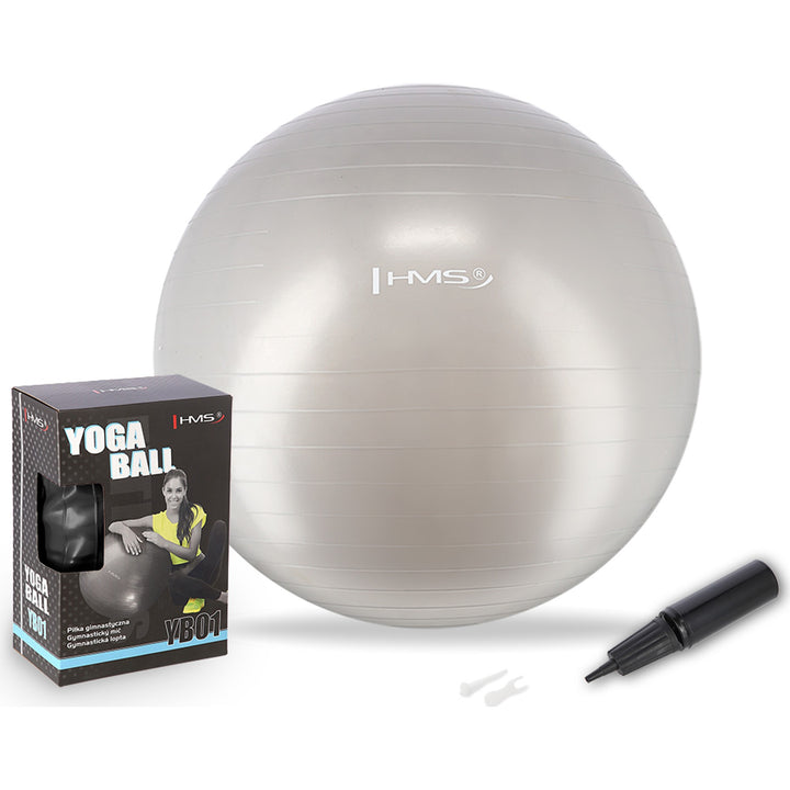 HMS võimlemispall koos pumbaga