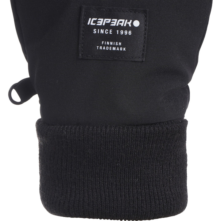 Icepeak kindad Hayingen