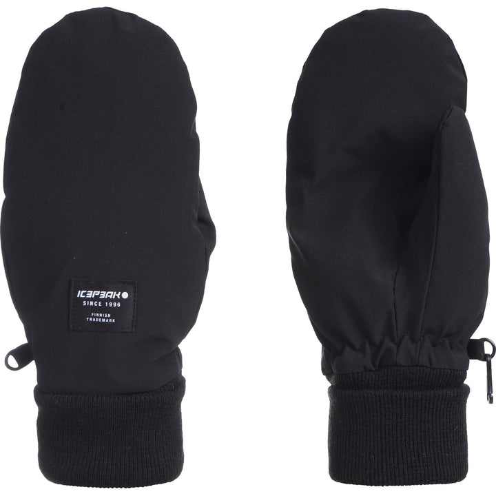 Icepeak kindad Hayingen