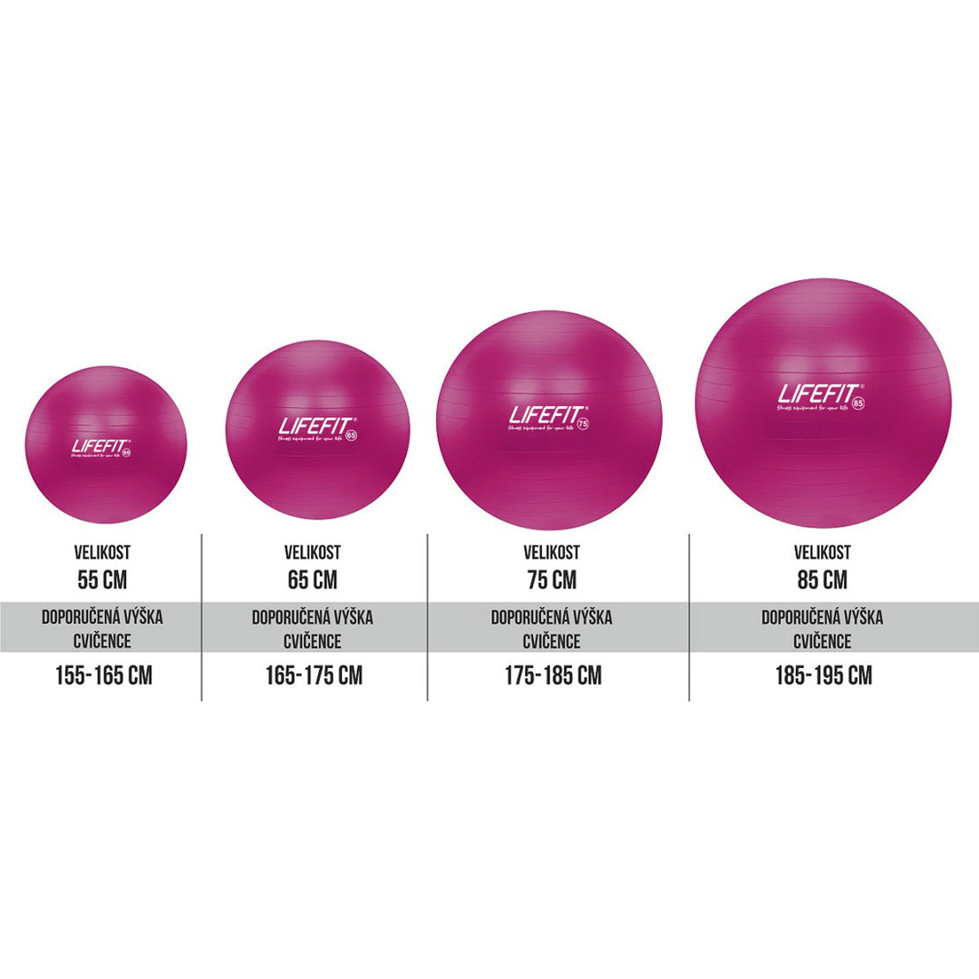 Lifefit võimlemispall 65 cm