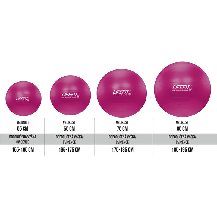 Lifefit võimlemispall 65 cm